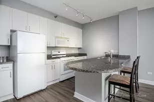 330 N Jefferson St, Chicago, IL 60661 - Photo 5