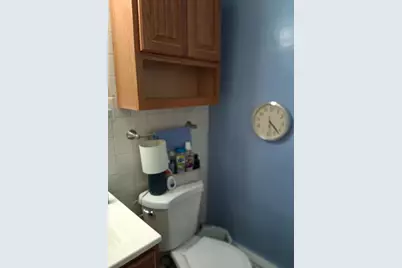 6950 S Cregier Avenue #I, Chicago, IL 60649 - Photo 31