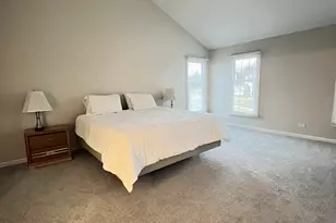 295 Winchester Dr, Algonquin, IL 60102 - Photo 19
