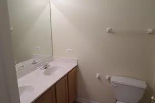 652 N Hidden Prairie Ct, Palatine, IL 60067 - Photo 11