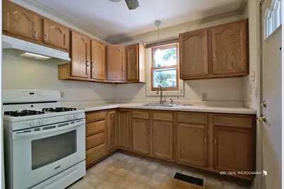 38141 N 4th Avenue, Spring Grove, IL 60081 - Photo 11