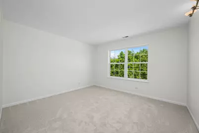 6065 Irene Drive, Hoffman Estates, IL 60192 - Photo 27