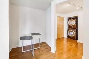 1629 S Prairie Ave, Chicago, IL 60616 - Photo 7