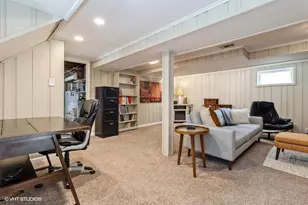 919 Belleforte Ave, Oak Park, IL 60302 - Photo 13