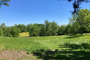 11085 US Hwy 45 Hwy N, Tunnel Hill, IL 62972 - Photo 3