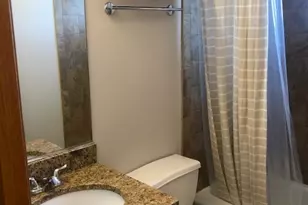 3130 S Princeton Ave, Chicago, IL 60616 - Photo 15