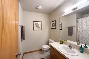 26217 S Rachael Dr, Channahon, IL 60410 - Photo 17