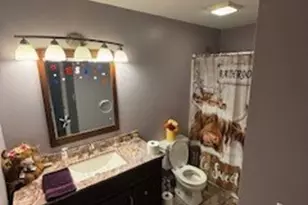 575 Elizabeth Dr, Coal City, IL 60416 - Photo 9