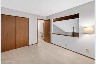 131 White Birch Lane, Westmont, IL 60559 - Photo 17