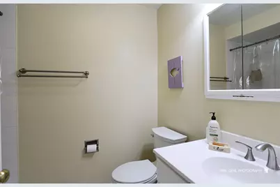 9209 Anthony Lane, Spring Grove, IL 60081 - Photo 19