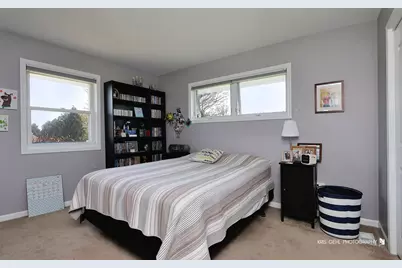9209 Anthony Lane, Spring Grove, IL 60081 - Photo 17