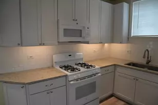 940 W Grant Dr, Des Plaines, IL 60016 - Photo 23