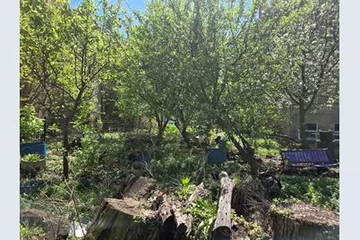 1839 W Touhy Avenue, Chicago, IL 60626 - Photo 3