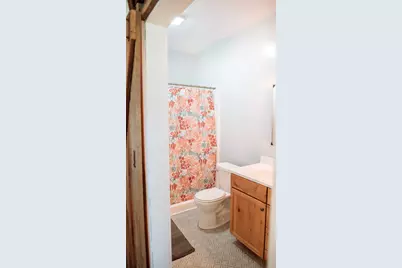 466 County Road 100, Sadorus, IL 61872 - Photo 23