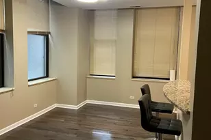 740 S Federal St, Chicago, IL 60605 - Photo 5