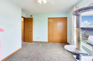 248 S Litchfield Dr, Round Lake, IL 60073 - Photo 17