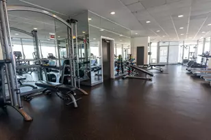 303 W Ohio St, Chicago, IL 60654 - Photo 27