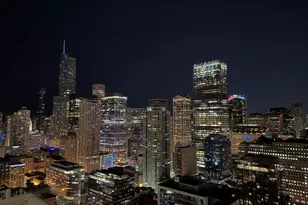 303 W Ohio St, Chicago, IL 60654 - Photo 19