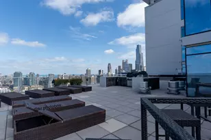303 W Ohio St, Chicago, IL 60654 - Photo 25