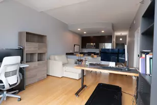303 W Ohio St, Chicago, IL 60654 - Photo 13