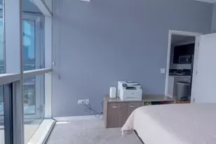303 W Ohio St, Chicago, IL 60654 - Photo 11