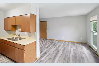 405 E Reed Street #9, Braidwood, IL 60408 - Photo 3