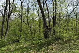 12 Navajo Ct, Putnam, IL 61560 - Photo 23