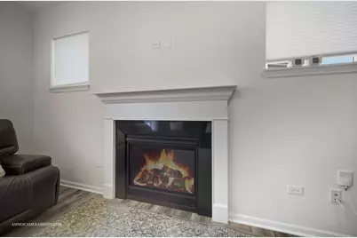 26305 W Milestone Drive, Plainfield, IL 60585 - Photo 17