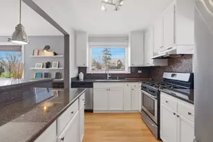 4129 Main St, Downers Grove, IL 60515 - Photo 9