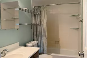 29W026 103rd St, Naperville, IL 60564 - Photo 19