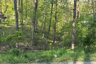 1829 Tanglewood Dr, Varna, IL 61375 - Photo 1