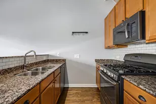 1151 W 14th Pl, Chicago, IL 60608 - Photo 9