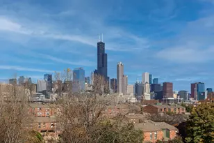 1151 W 14th Pl, Chicago, IL 60608 - Photo 19