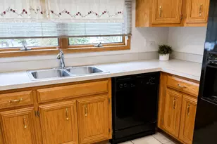 8125 S Prairie Park Pl, Chicago, IL 60619 - Photo 19