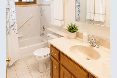 8125 S Prairie Park Place, Chicago, IL 60619 - Photo 33