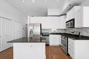 230 W Division St, Chicago, IL 60610 - Photo 9