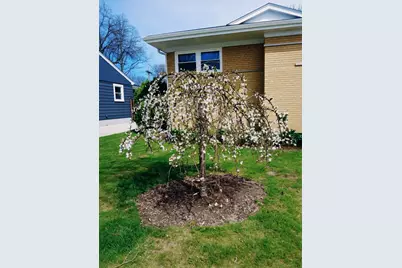 18547 Lexington Avenue, Homewood, IL 60430 - Photo 29