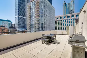 221 E Walton Pl, Chicago, IL 60611 - Photo 21