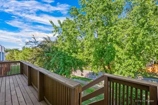 255 Charlotte Ct, Cary, IL 60013 - Photo 37