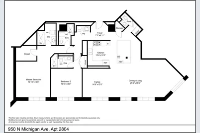 950 N Michigan Avenue #2804, Chicago, IL 60611 - Photo 41