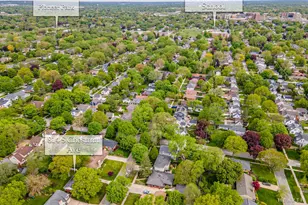 814 S Chestnut Ave, Arlington Heights, IL 60005 - Photo 29