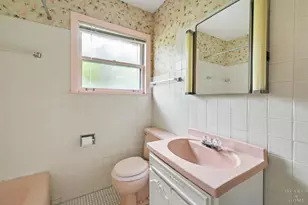 814 S Chestnut Ave, Arlington Heights, IL 60005 - Photo 17