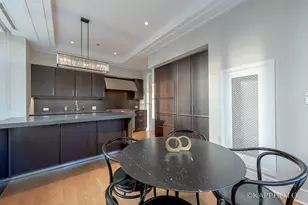 118 E Erie St, Chicago, IL 60611 - Photo 33