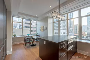 118 E Erie St, Chicago, IL 60611 - Photo 31