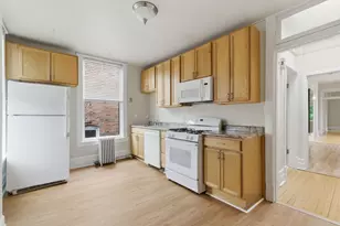 315 S Maple Ave, Oak Park, IL 60302 - Photo 29