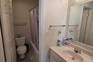 390 Springlake Ln, Aurora, IL 60504 - Photo 15