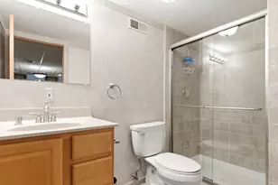 9 Brassie Ct, Woodridge, IL 60517 - Photo 25