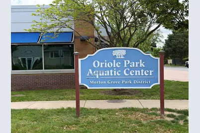 8908 Ozark Avenue, Morton Grove, IL 60053 - Photo 25
