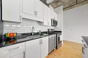 50 E 16th St, Chicago, IL 60616 - Photo 13