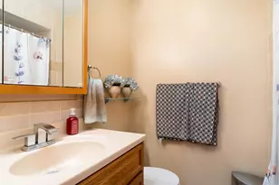 22547 S Bramble Hill Rd, Joliet, IL 60404 - Photo 19